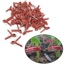 Load image into Gallery viewer, 100PCS Plant Grafting Clip Plastic Gardening Tool For Cucumber Eggplant Watermelon, Round Mouth Flat Mouth Anti-fall Clamp
